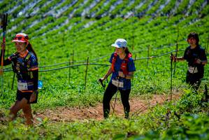 BIB: 2348, 5002, 242
                            <button type="button" onclick="openModal(19164696)" class="btn btn-primary btn-sm float-right btn-popup" data-toggle="modal" data-target=".modal-high-quality">
                        <i class="fas fa-shopping-cart"></i> Add to Cart
                    </button>
                                            <button type="button" onclick="isThisMe(19164696, true)" class="btn btn-success btn-sm float-right btn-popup btn-isme hidden" data-toggle="tooltip" data-placement="bottom" title="นี่คือรูปของคุณใช่ไหม คลิกที่นี่เพื่อเอาเข้าอัลบั้ม">
                        <i class="fas fa-plus"></i> Add to album
                    </button>
                    <button type="button" onclick="isThisMe(19164696, false)" class="btn btn-warning btn-sm float-right btn-popup btn-isnotme hidden">
                        <i class="fas fa-ban"></i> Remove from album
                    </button>